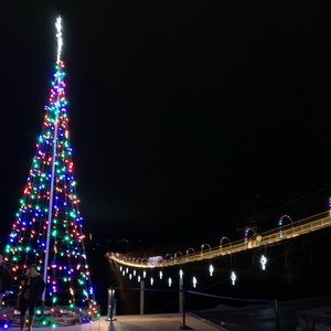 Meet your Posher, Jake